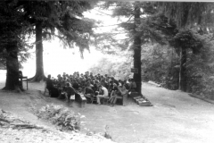 In-pineta