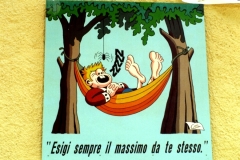 Cartello-1