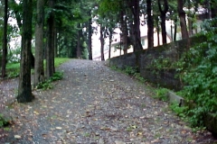 Discesa-Campo-di-calcio
