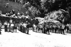 Monteleco - la giornata - l'organizzazione