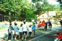 Pallavolo