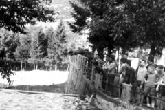 Tempo-libero-Bagno-in-piscina