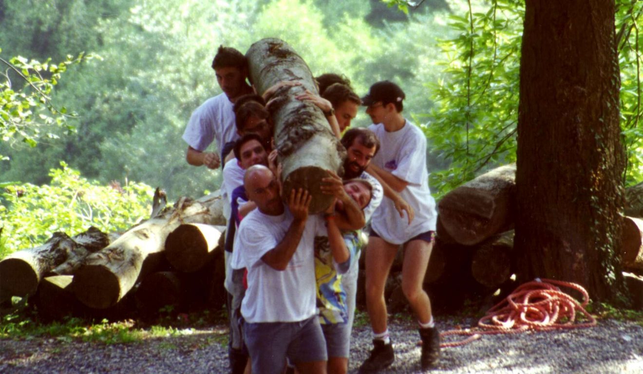 Sostituzione tronco