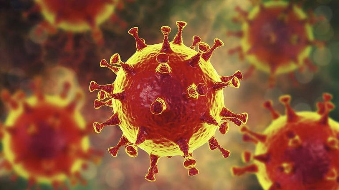 Che  cosa ci lascia questo tempo del corona virus?